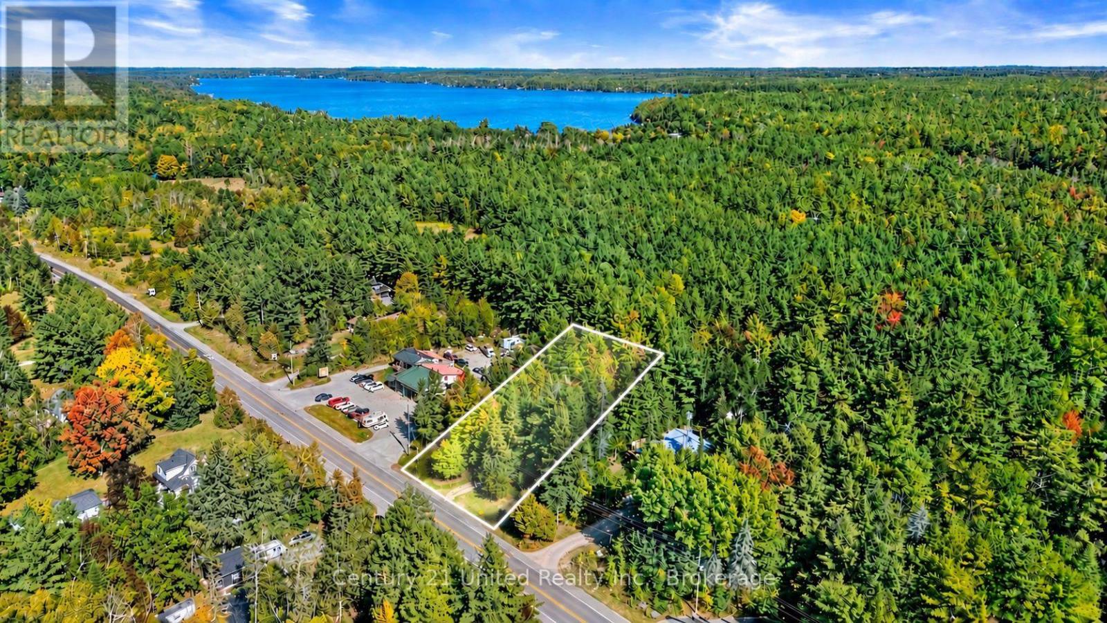 3795 Highway 28, Douro-Dummer, Ontario  K0L 2H0 - Photo 4 - X13839540