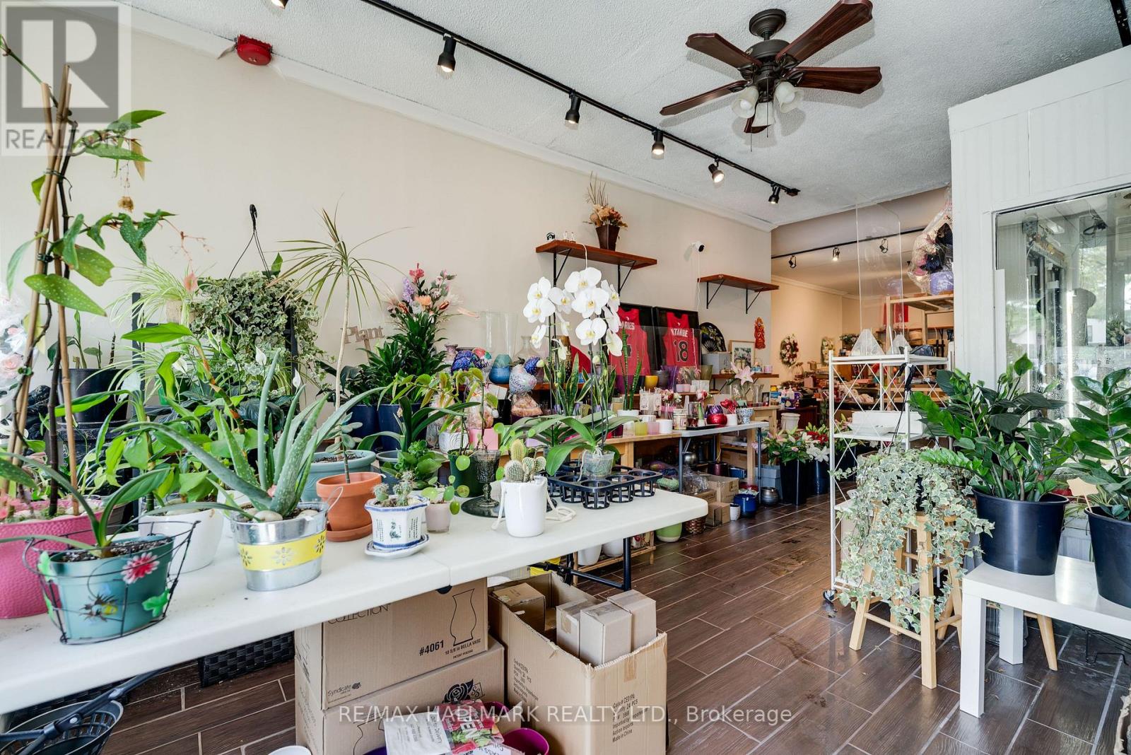 2424 Danforth Avenue, Toronto, Ontario  M4C 1K9 - Photo 2 - E13750724