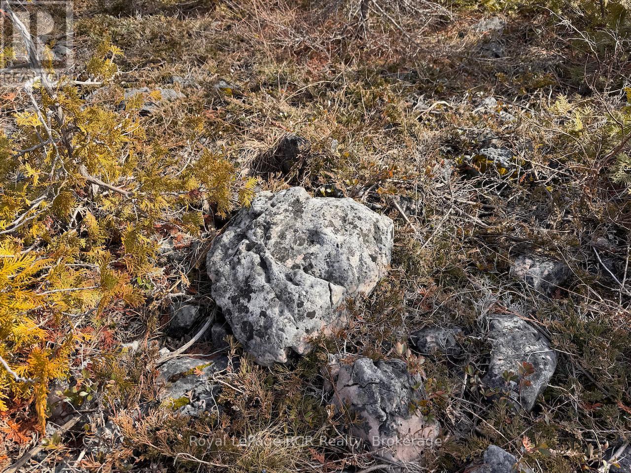 73 Fox Trail, Northern Bruce Peninsula, Ontario  N0H 1W0 - Photo 24 - X13043960