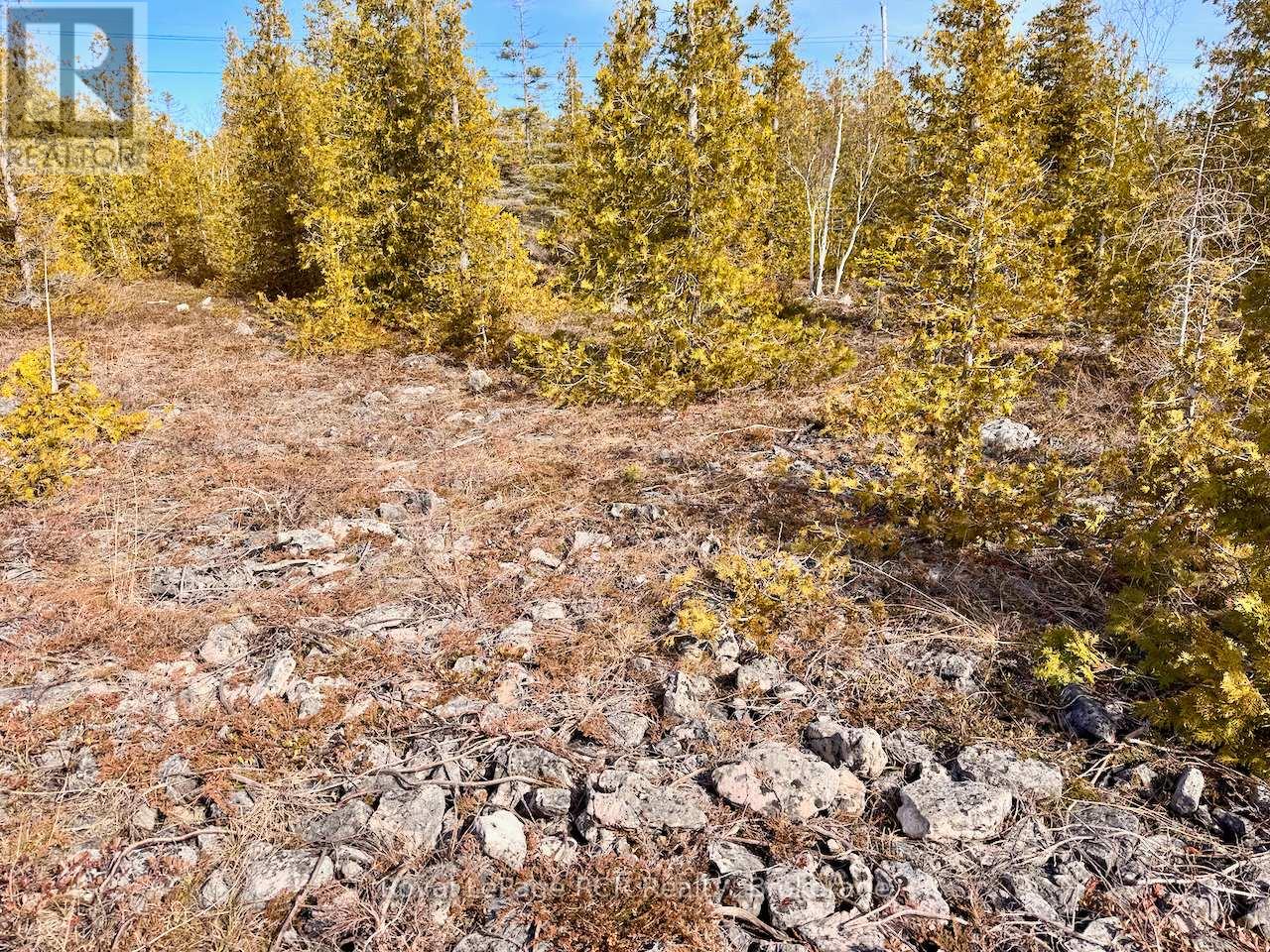 73 Fox Trail, Northern Bruce Peninsula, Ontario  N0H 1W0 - Photo 23 - X13043960