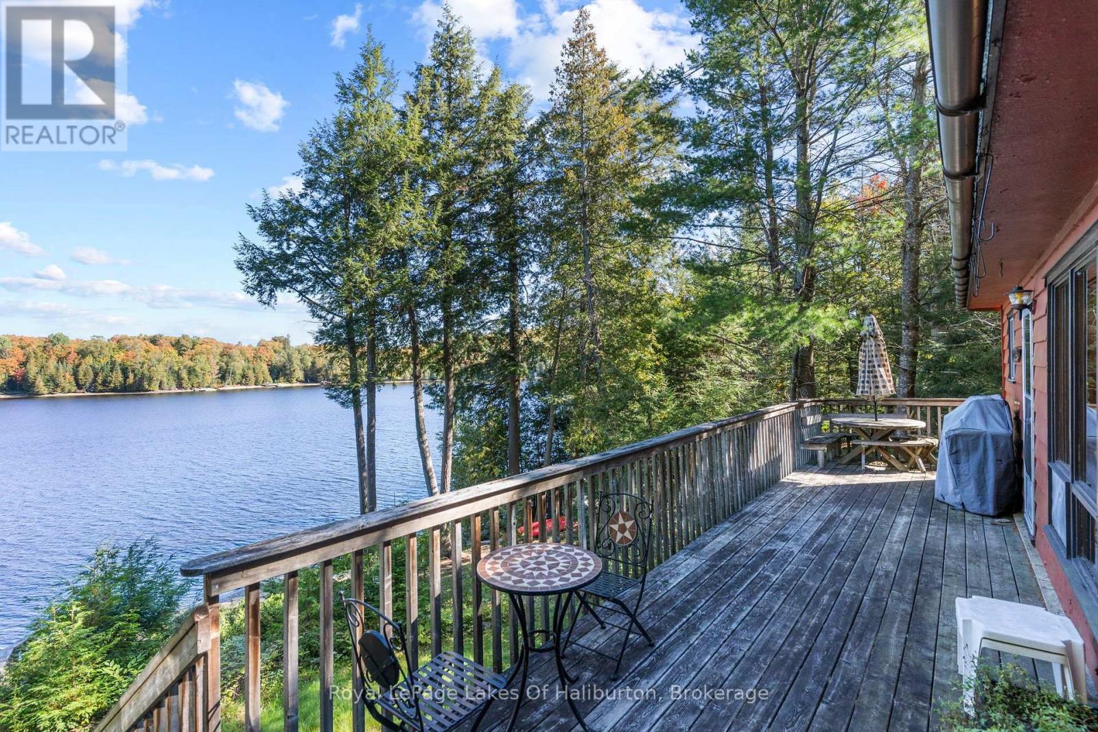 1081 Hadley Lane, Highlands East, Ontario  K0M 1R0 - Photo 10 - X13819106