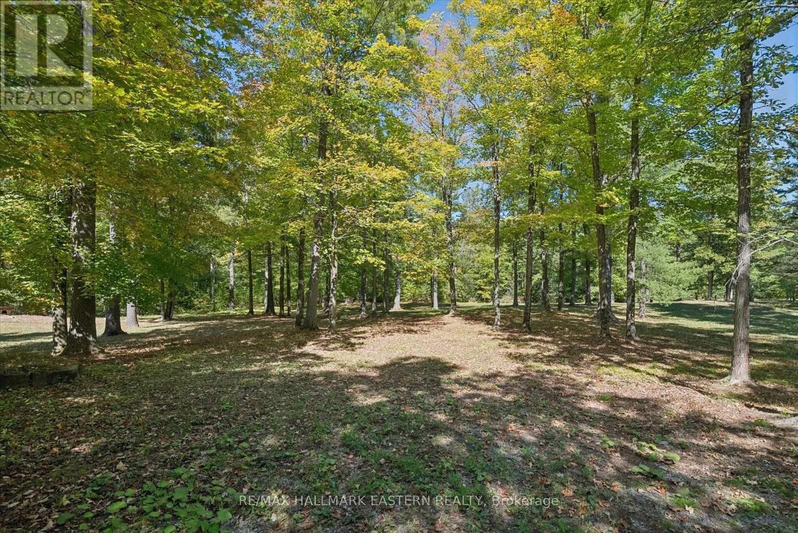 778 Eighth Line Road, Douro-Dummer, Ontario  K0L 2V0 - Photo 45 - X13838756