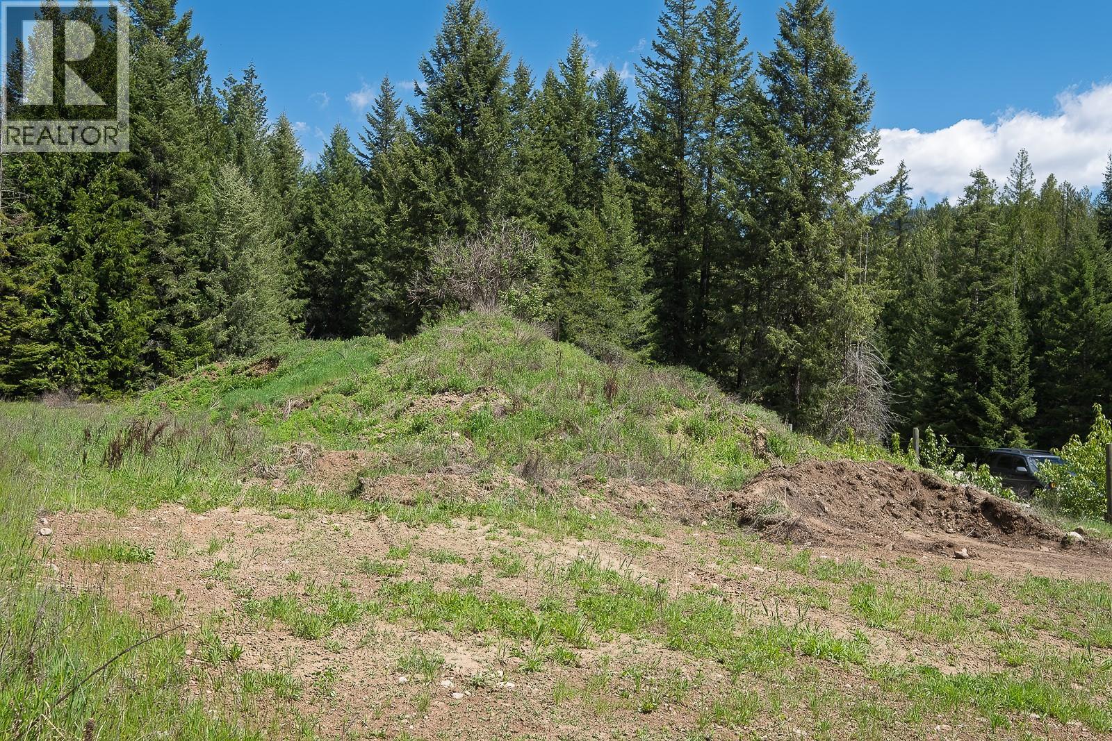 Highway 22 Highway Lot# 3, Rossland, British Columbia  V0G 1Y0 - Photo 23 - 10387965