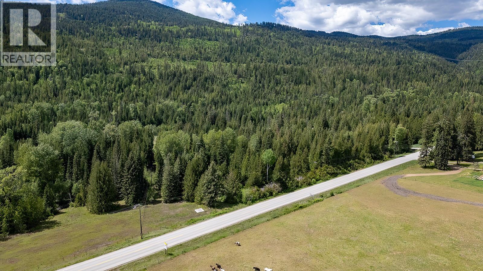 Highway 22 Highway Lot# 3, Rossland, British Columbia  V0G 1Y0 - Photo 10 - 10387965