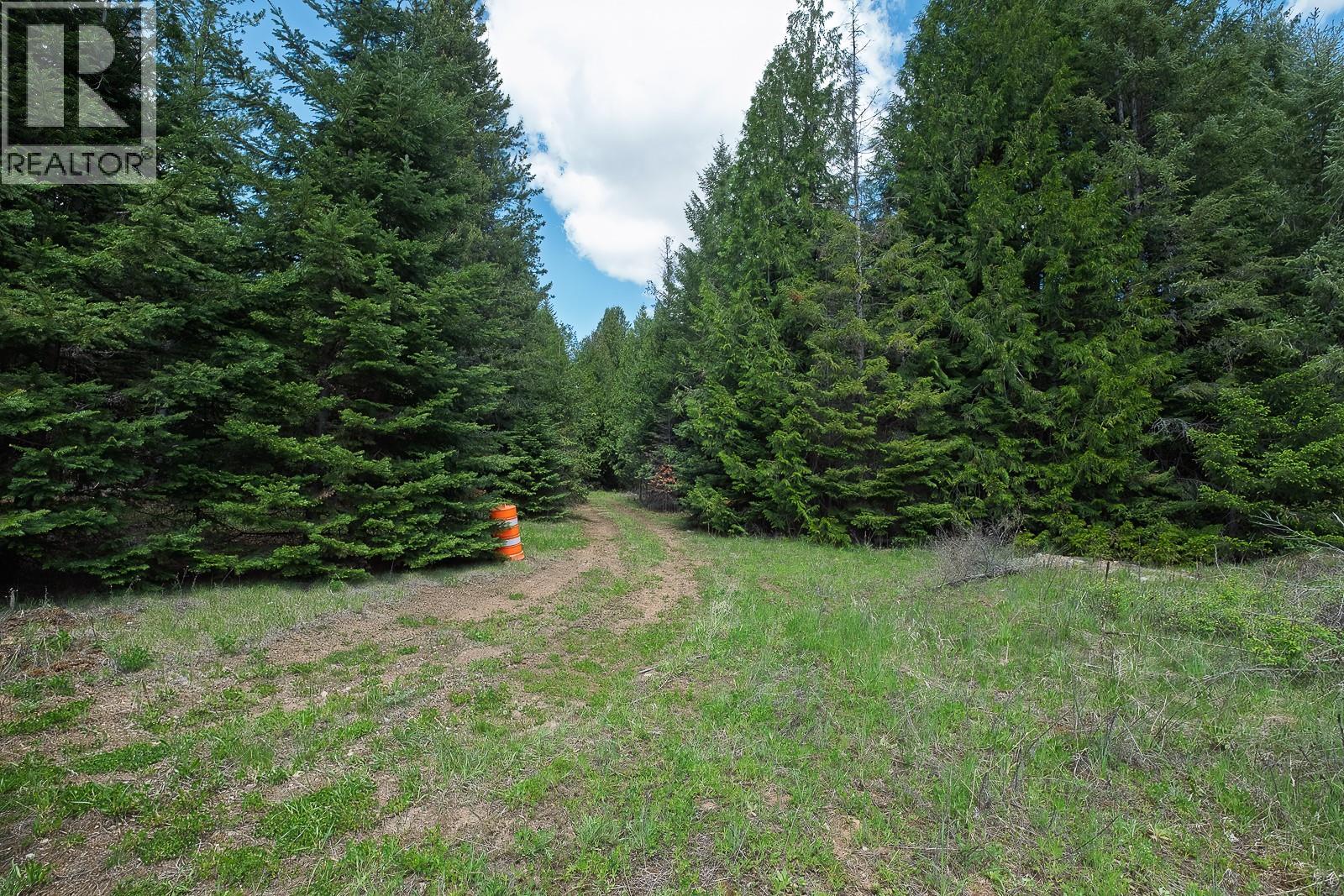 Highway 22 Highway Lot# 3, Rossland, British Columbia  V0G 1Y0 - Photo 26 - 10387965