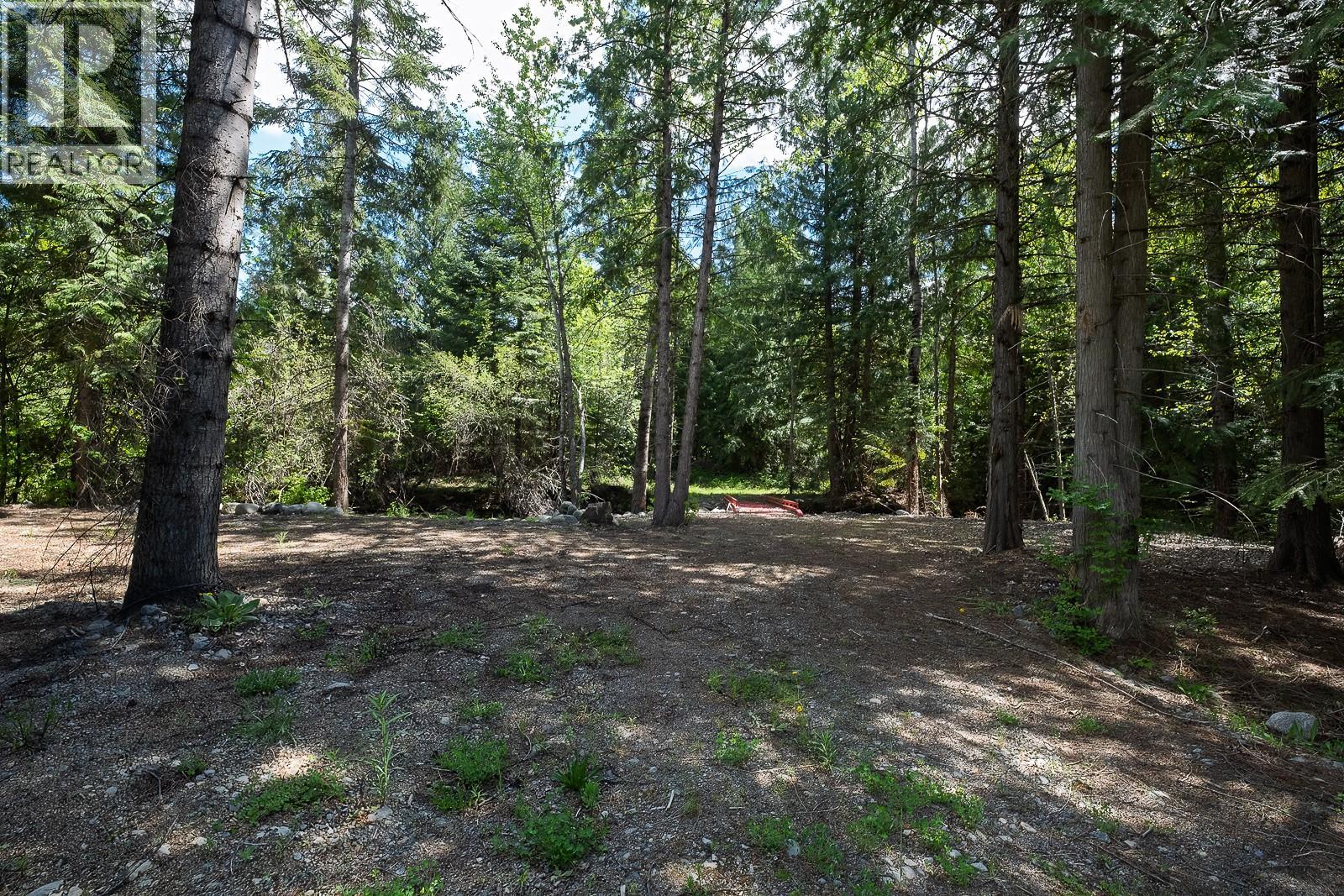 Highway 22 Highway Lot# 3, Rossland, British Columbia  V0G 1Y0 - Photo 50 - 10387965