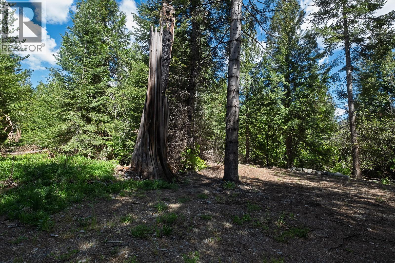 Highway 22 Highway Lot# 3, Rossland, British Columbia  V0G 1Y0 - Photo 49 - 10387965