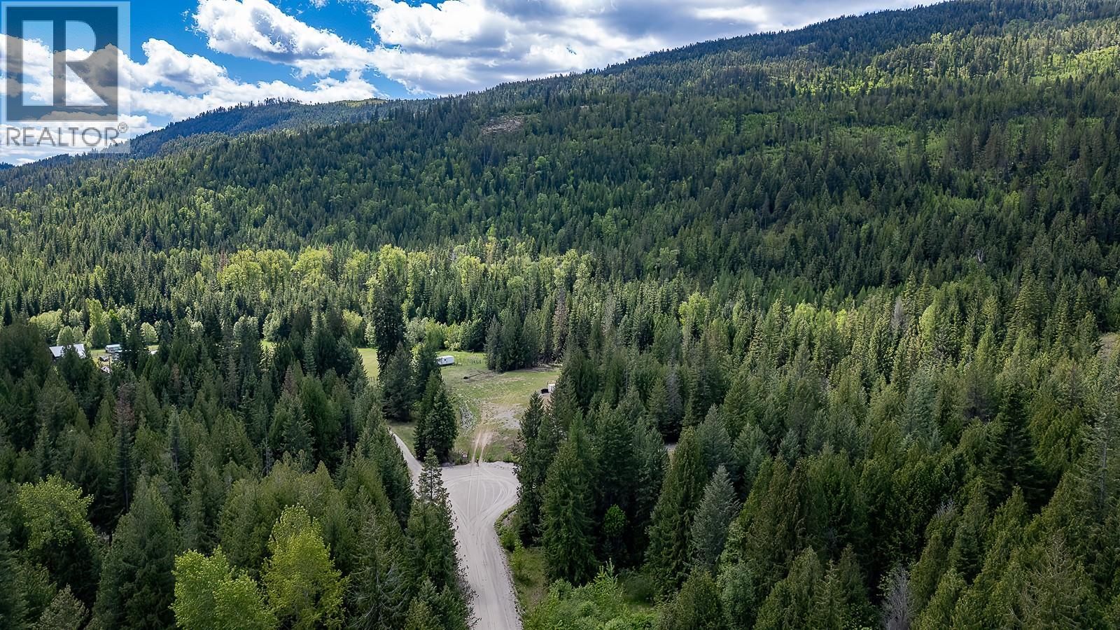 Highway 22 Highway Lot# 3, Rossland, British Columbia  V0G 1Y0 - Photo 11 - 10387965
