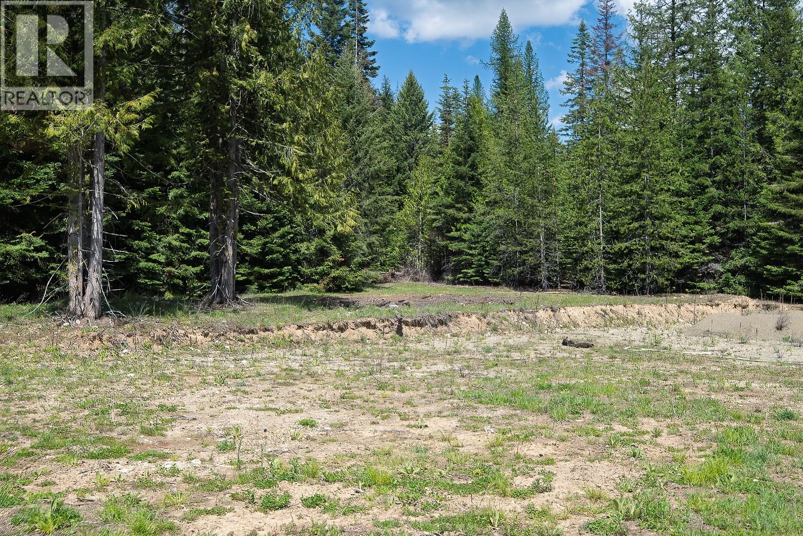 Highway 22 Highway Lot# 3, Rossland, British Columbia  V0G 1Y0 - Photo 18 - 10387965