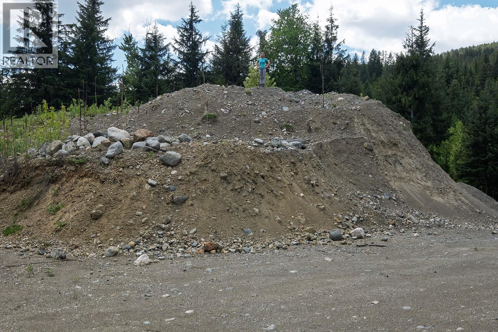Highway 22 Highway Lot# 3, Rossland, British Columbia  V0G 1Y0 - Photo 39 - 10387965
