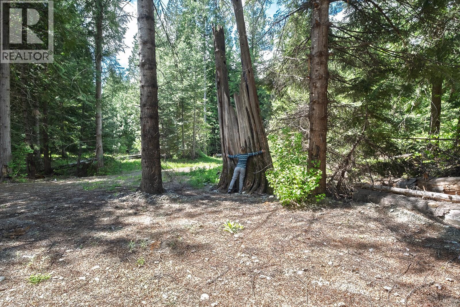 Highway 22 Highway Lot# 3, Rossland, British Columbia  V0G 1Y0 - Photo 56 - 10387965