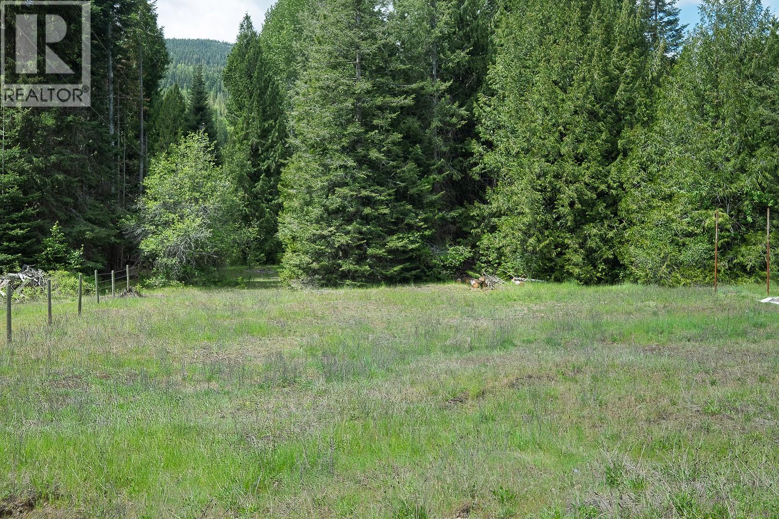 Highway 22 Highway Lot# 3, Rossland, British Columbia  V0G 1Y0 - Photo 60 - 10387965
