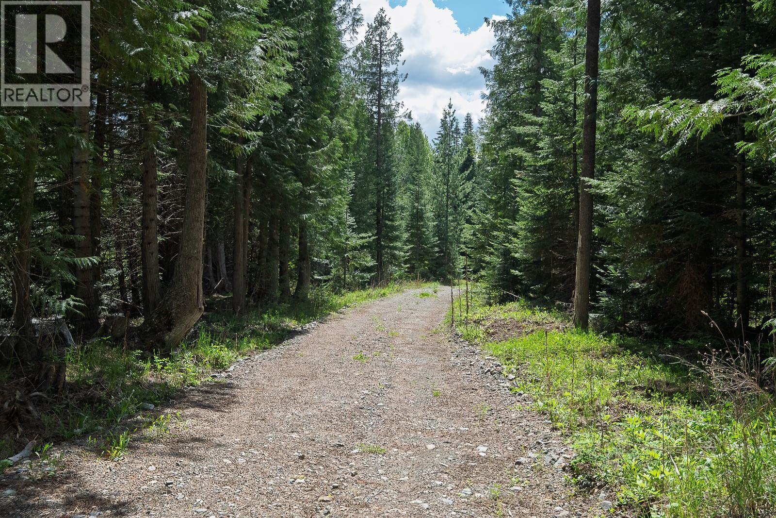 Highway 22 Highway Lot# 3, Rossland, British Columbia  V0G 1Y0 - Photo 47 - 10387965