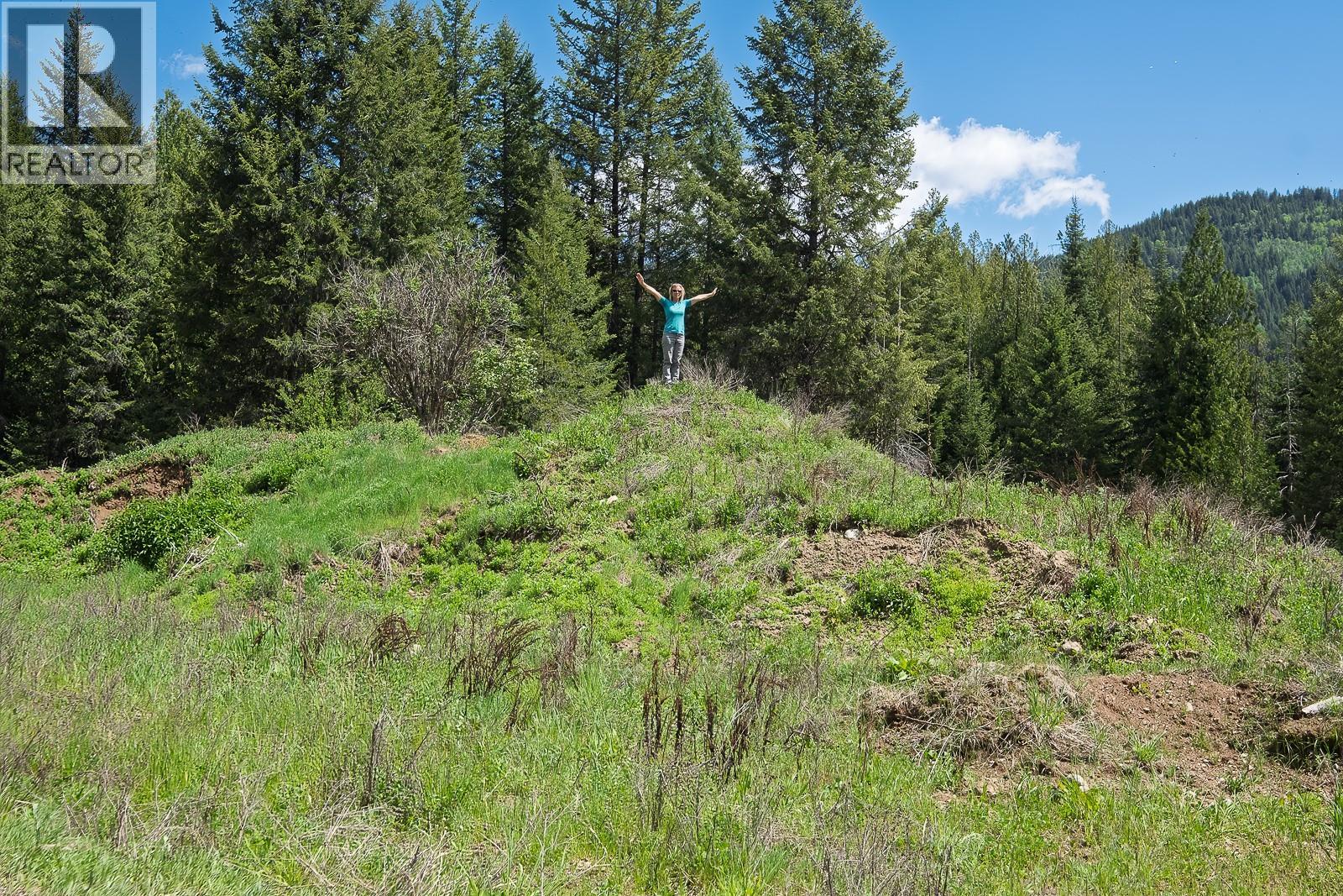 Highway 22 Highway Lot# 3, Rossland, British Columbia  V0G 1Y0 - Photo 25 - 10387965