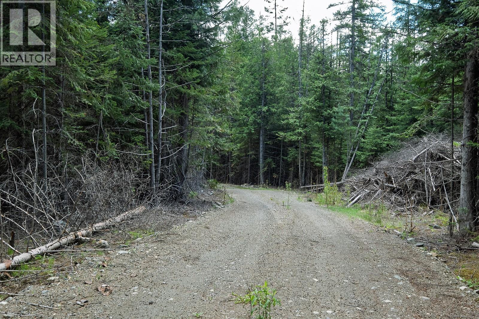 Highway 22 Highway Lot# 3, Rossland, British Columbia  V0G 1Y0 - Photo 41 - 10387965