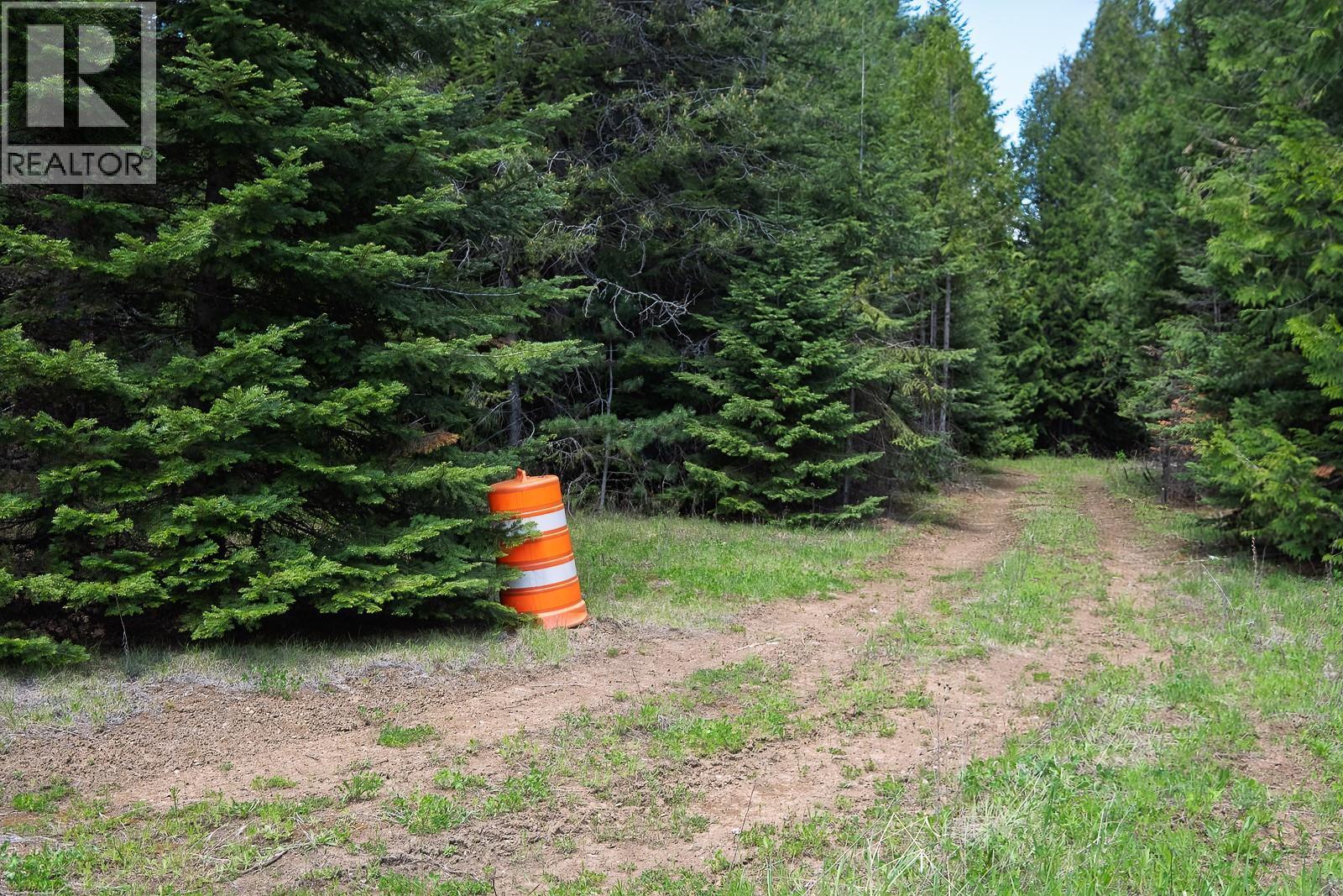 Highway 22 Highway Lot# 3, Rossland, British Columbia  V0G 1Y0 - Photo 27 - 10387965