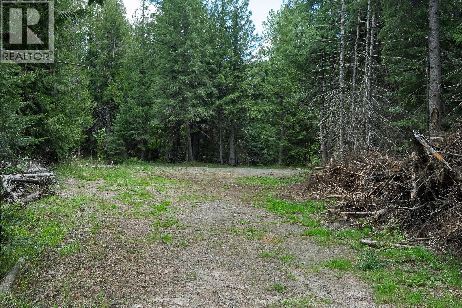Highway 22 Highway Lot# 3, Rossland, British Columbia  V0G 1Y0 - Photo 45 - 10387965