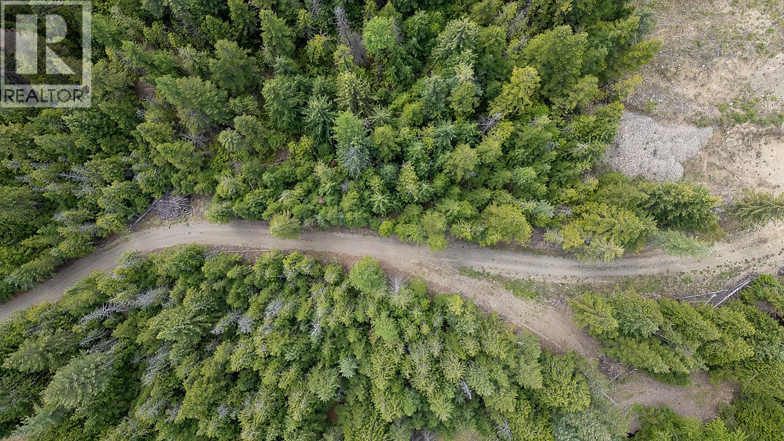 Highway 22 Highway Lot# 3, Rossland, British Columbia  V0G 1Y0 - Photo 31 - 10387965