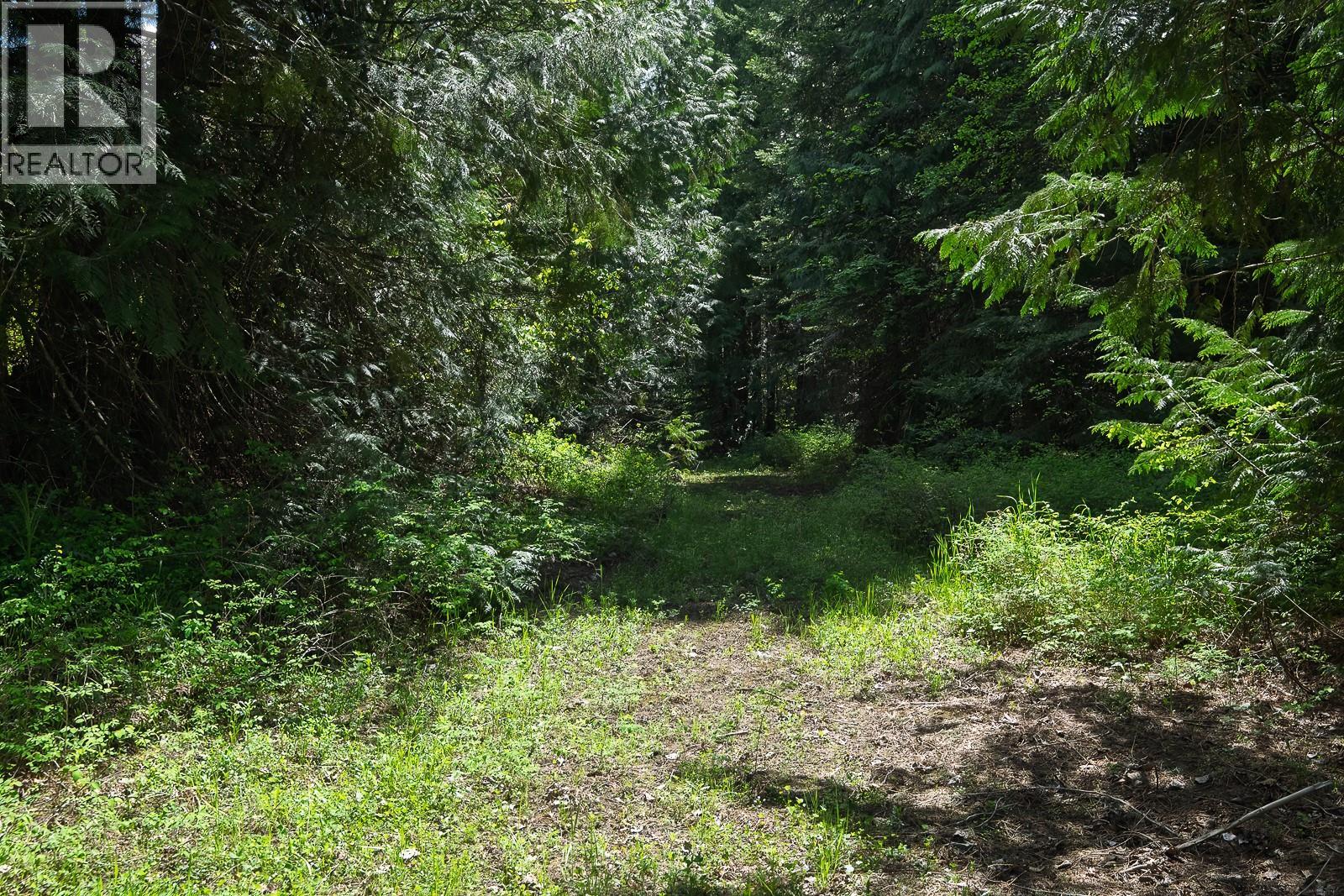 Highway 22 Highway Lot# 3, Rossland, British Columbia  V0G 1Y0 - Photo 53 - 10387965