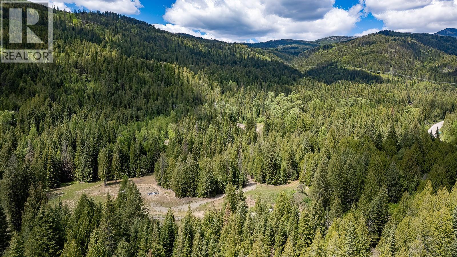 Highway 22 Highway Lot# 3, Rossland, British Columbia  V0G 1Y0 - Photo 28 - 10387965