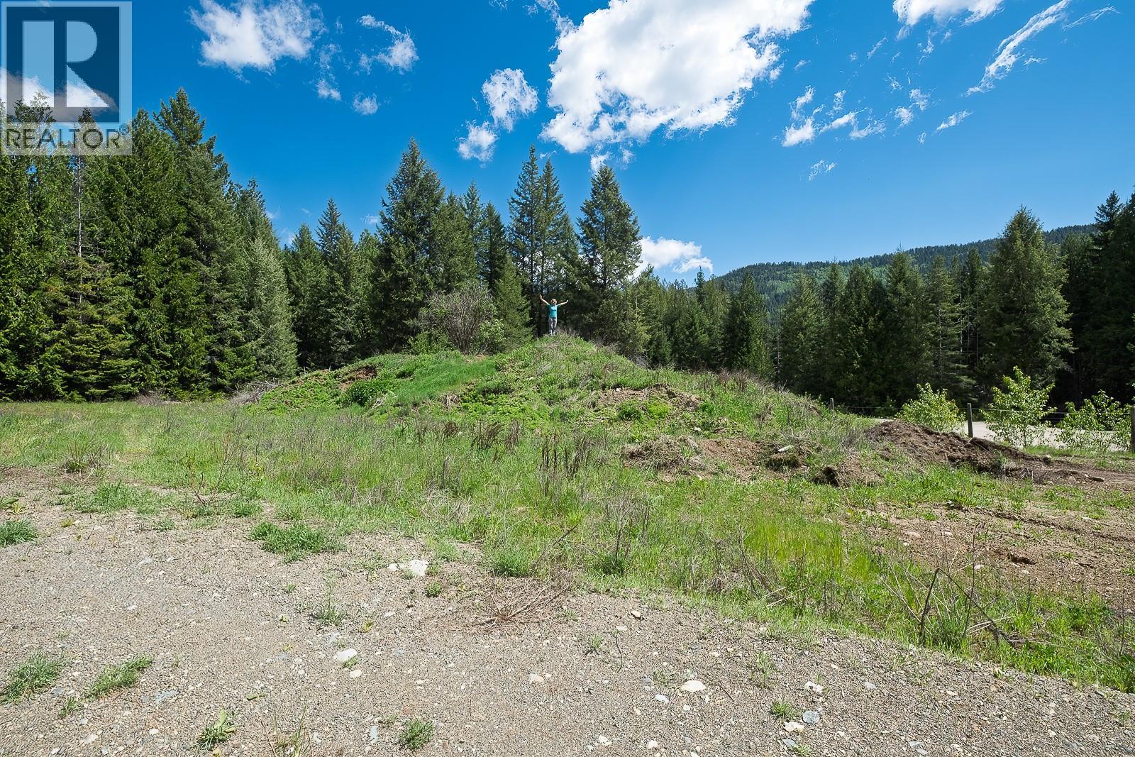 Highway 22 Highway Lot# 3, Rossland, British Columbia  V0G 1Y0 - Photo 24 - 10387965