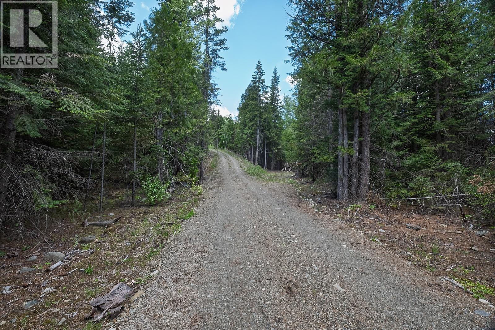 Highway 22 Highway Lot# 3, Rossland, British Columbia  V0G 1Y0 - Photo 34 - 10387965