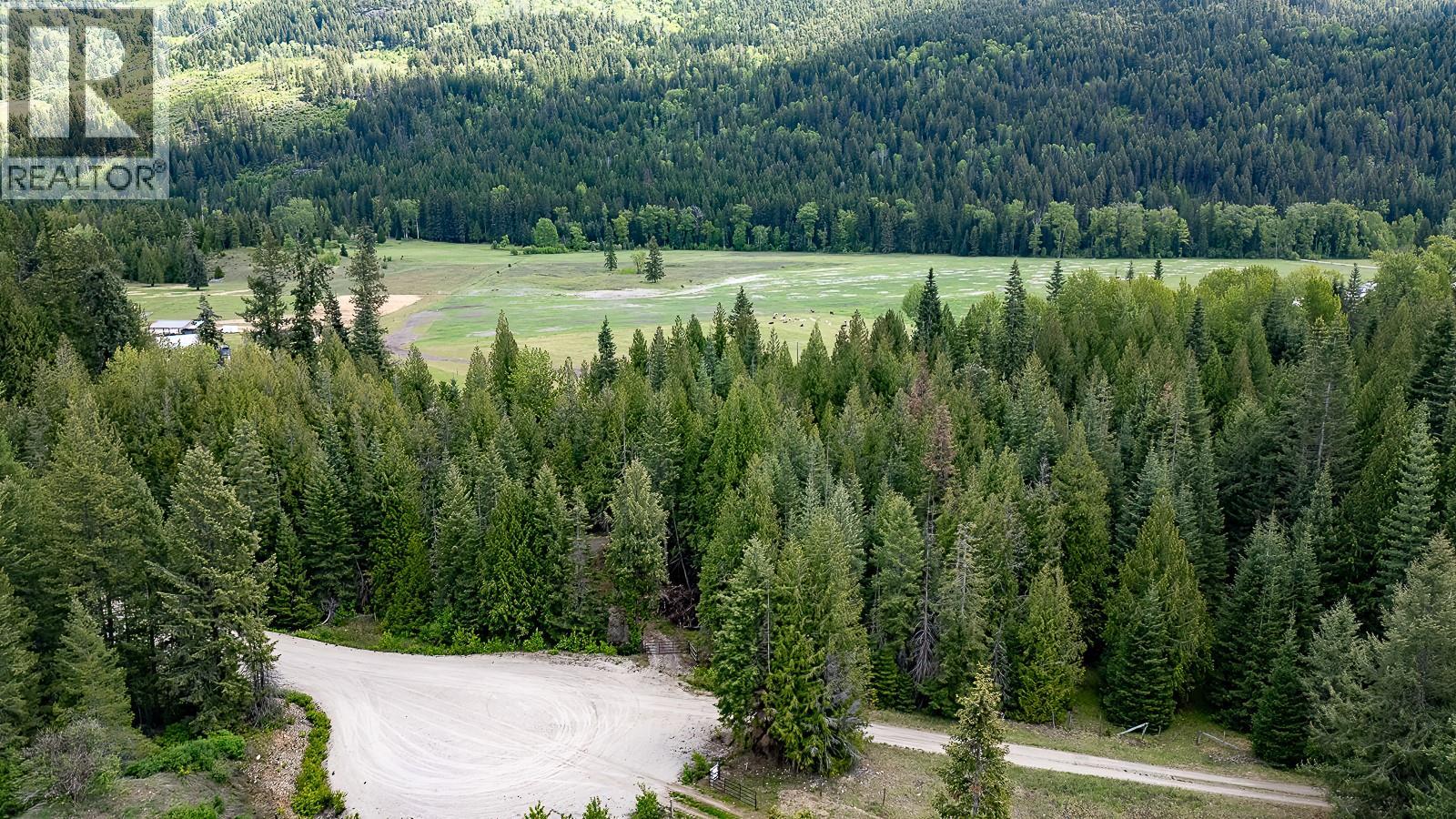 Highway 22 Highway Lot# 3, Rossland, British Columbia  V0G 1Y0 - Photo 44 - 10387965