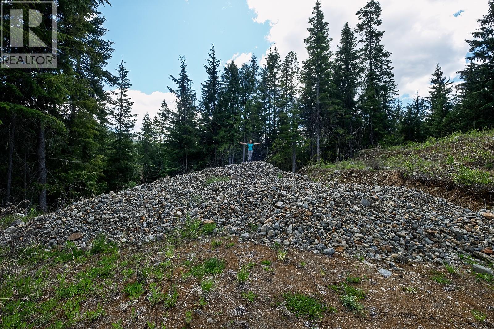 Highway 22 Highway Lot# 3, Rossland, British Columbia  V0G 1Y0 - Photo 37 - 10387965