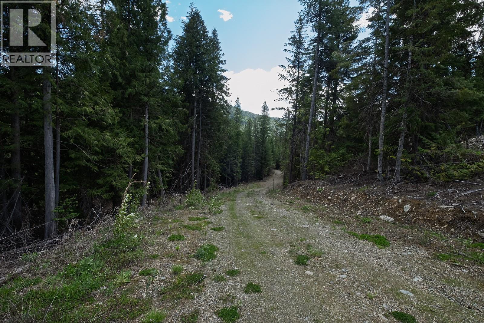 Highway 22 Highway Lot# 3, Rossland, British Columbia  V0G 1Y0 - Photo 33 - 10387965