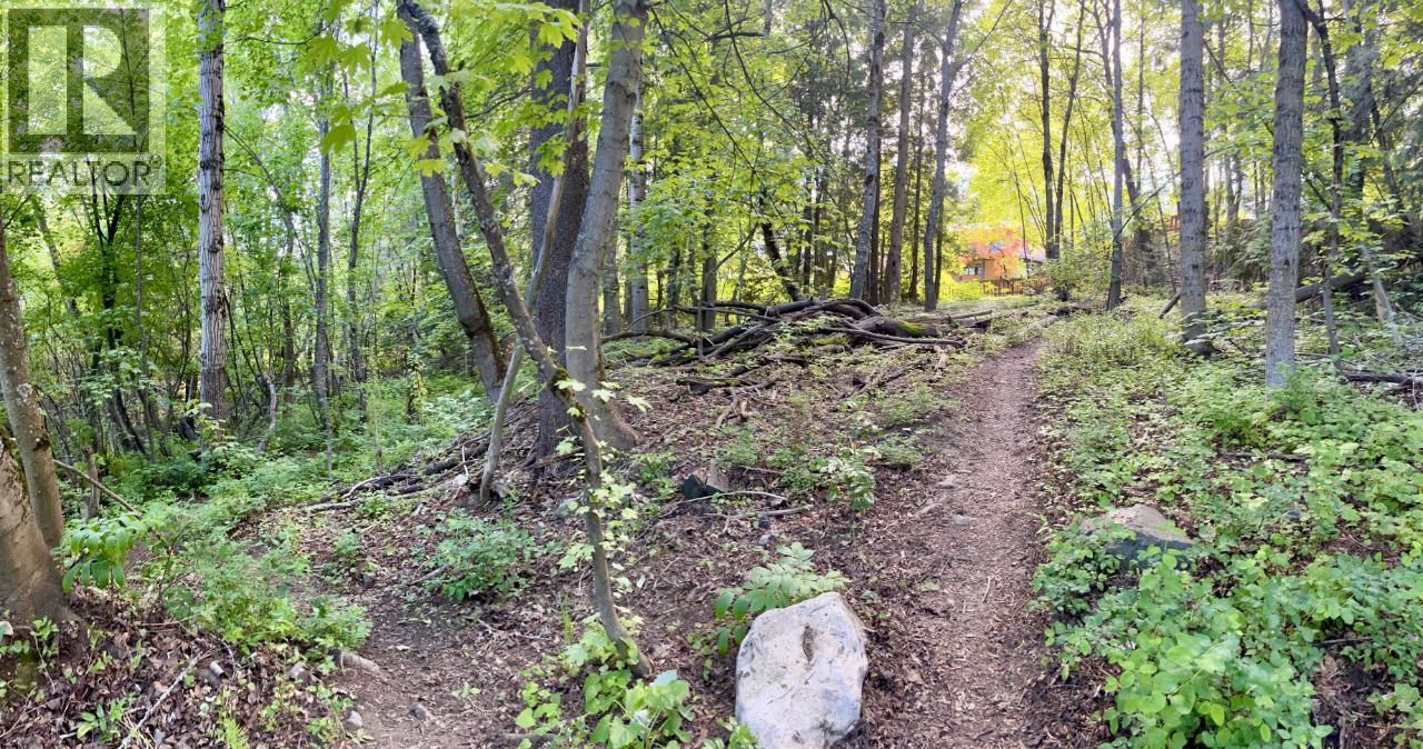 3b Highway Lot# 3, Rossland, British Columbia  V0G 1Y0 - Photo 20 - 10361542