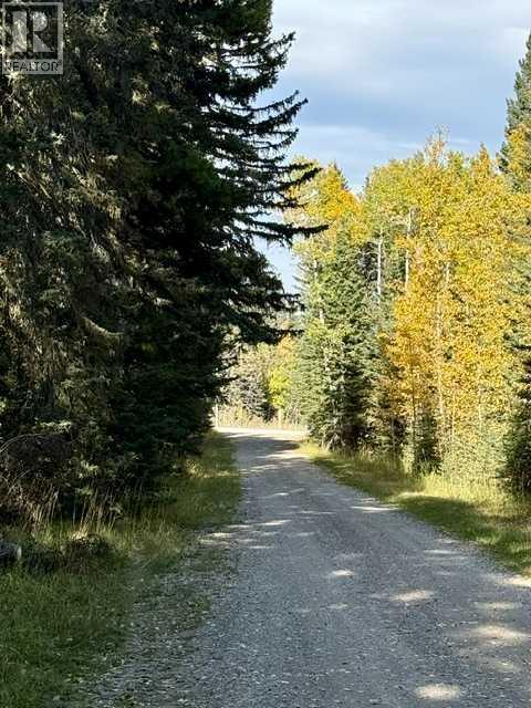 29436 Range Road 54 A, Rural Mountain View County, Alberta  T0M 2E0 - Photo 23 - A2348183