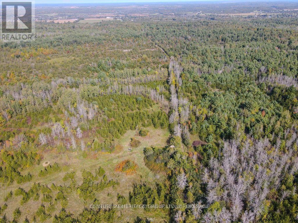 Pt Lt G Concession Gore, Loyalist, Ontario  K0K 0C4 - Photo 13 - X13839844