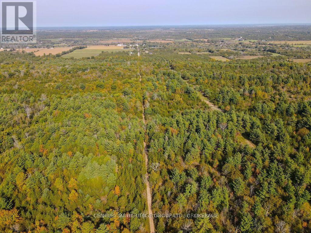 Pt Lt G Concession Gore, Loyalist, Ontario  K0K 0C4 - Photo 15 - X13839844