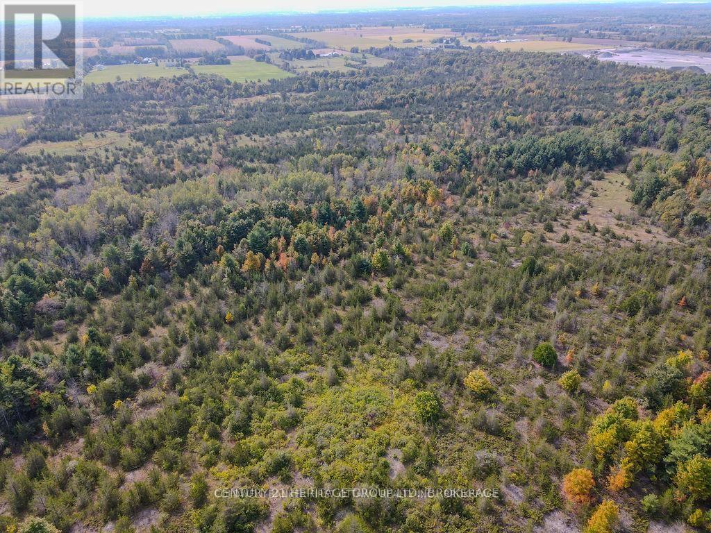 Pt Lt G Concession Gore, Loyalist, Ontario  K0K 0C4 - Photo 16 - X13839844
