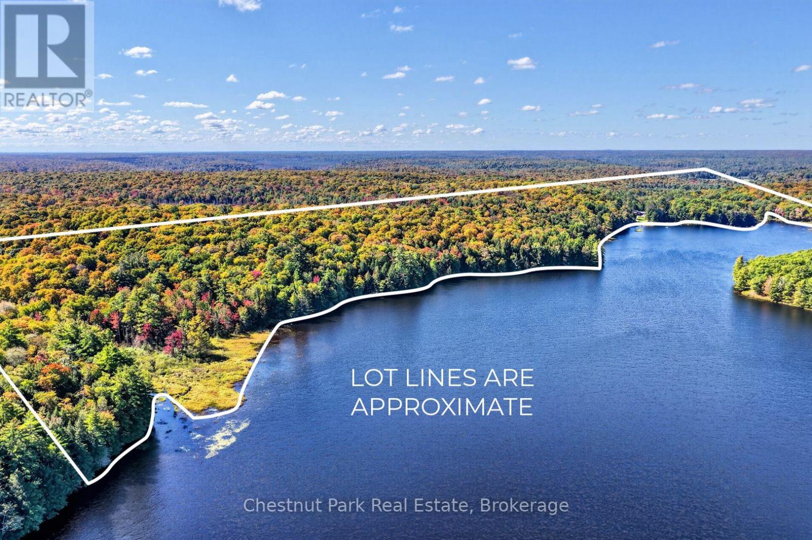 848 Clearwater Lake Road, Huntsville, Ontario  P0B 1L0 - Photo 34 - X13783604