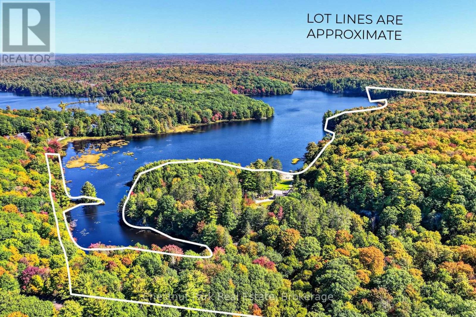848 Clearwater Lake Road, Huntsville, Ontario  P0B 1L0 - Photo 35 - X13783604