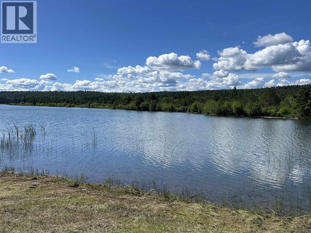3364 Cariboo 97 Highway, Lac La Hache, British Columbia  V0K 1T1 - Photo 23 - R3170267