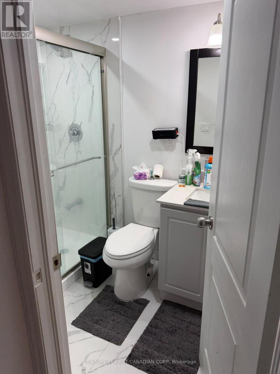 Basement - 231 Baseline Road W, London South, Ontario  N6J 1V9 - Photo 5 - X13840028