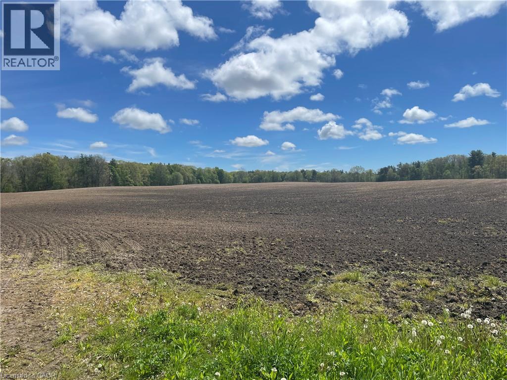 Pt Lt 4 Concession 10 Rd, Lynedoch, Ontario N4B 2W4 - Photo 1 - 40867446