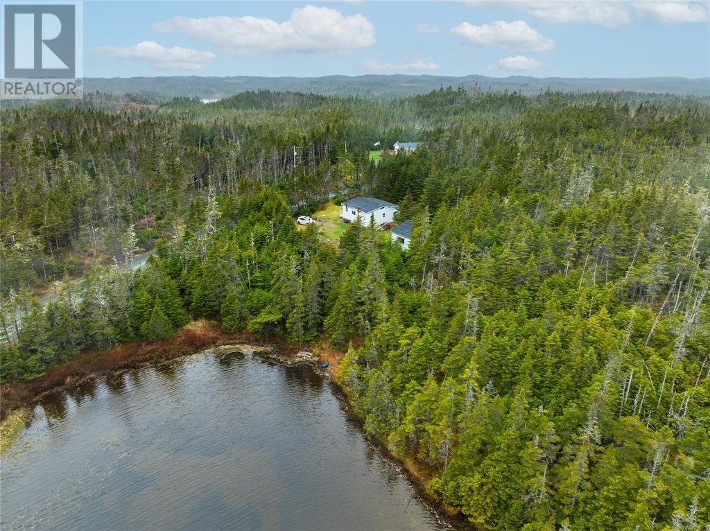115 Deer Park Road, Salmonier — photo 13