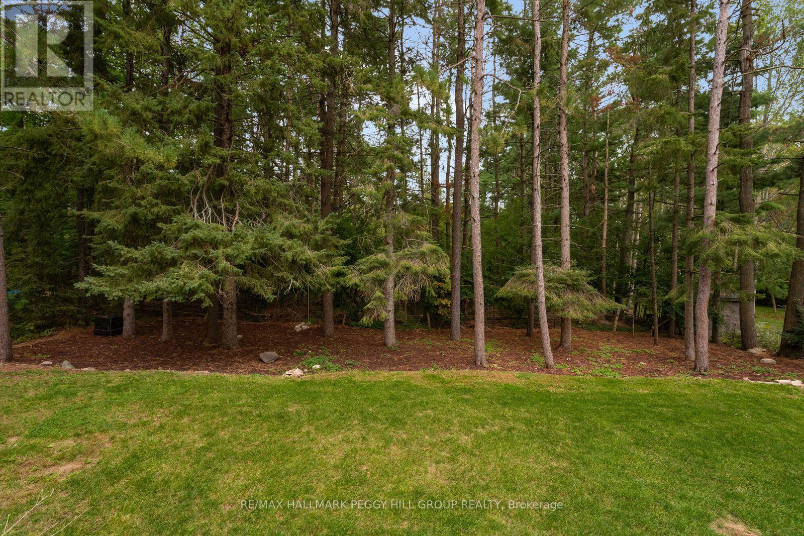 11 Colborne Street, Oro-Medonte, Ontario  L4M 4S1 - Photo 18 - S13819192