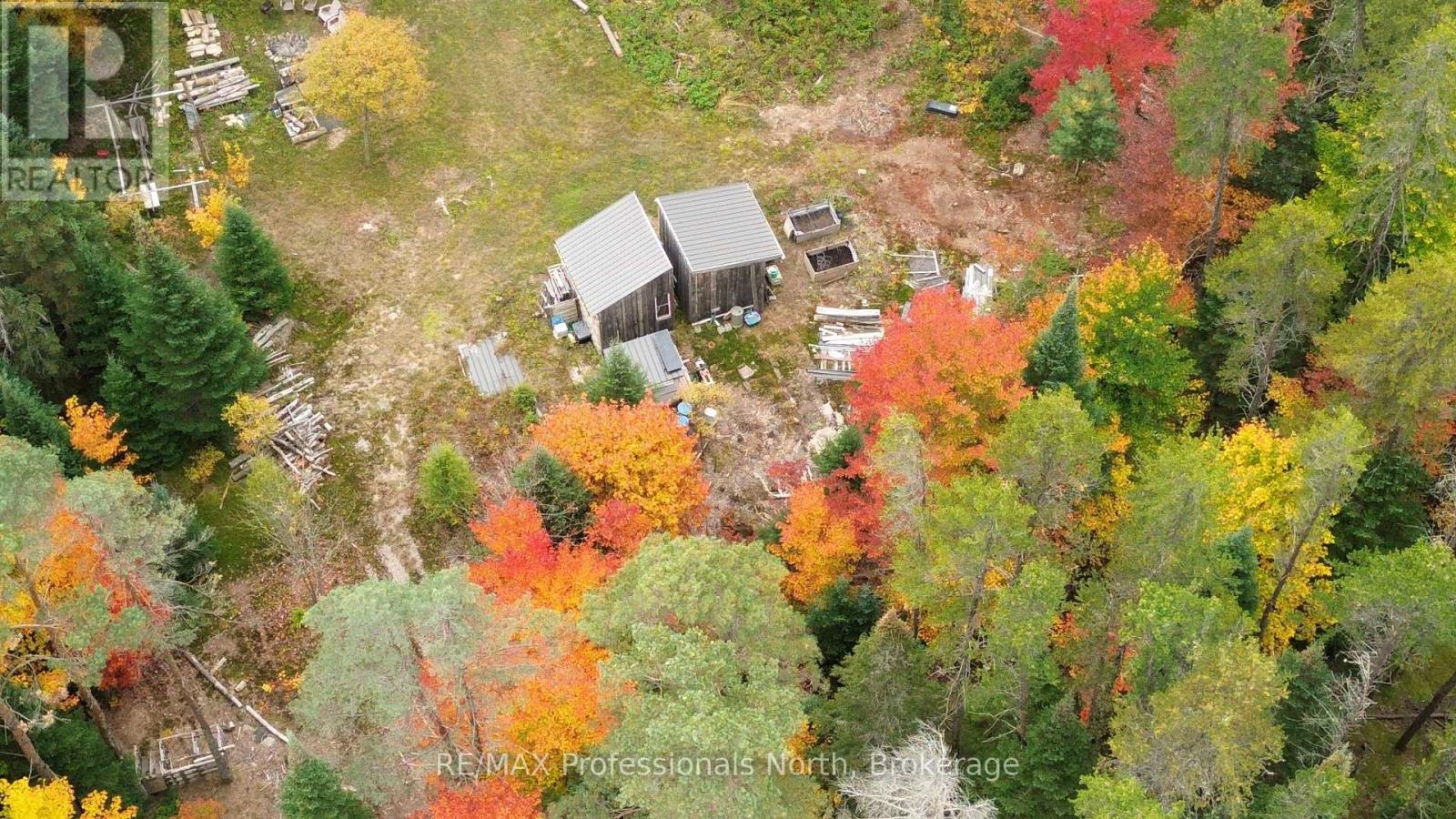 124 Cardwell Lake Road, Huntsville, Ontario  P0B 1M0 - Photo 11 - X13840448