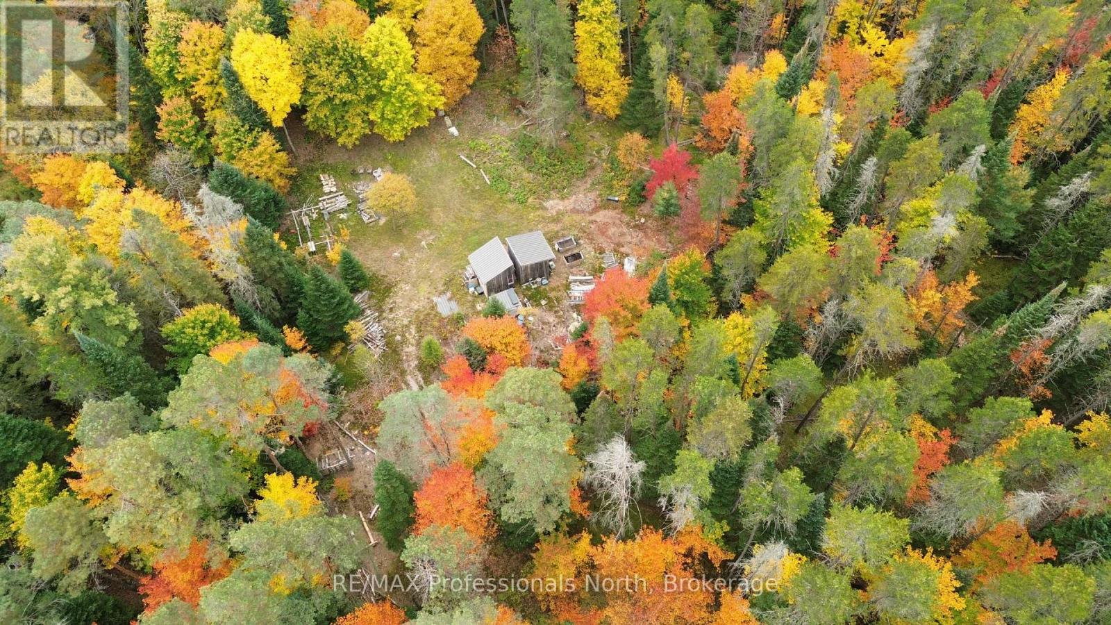 124 Cardwell Lake Road, Huntsville, Ontario  P0B 1M0 - Photo 12 - X13840448