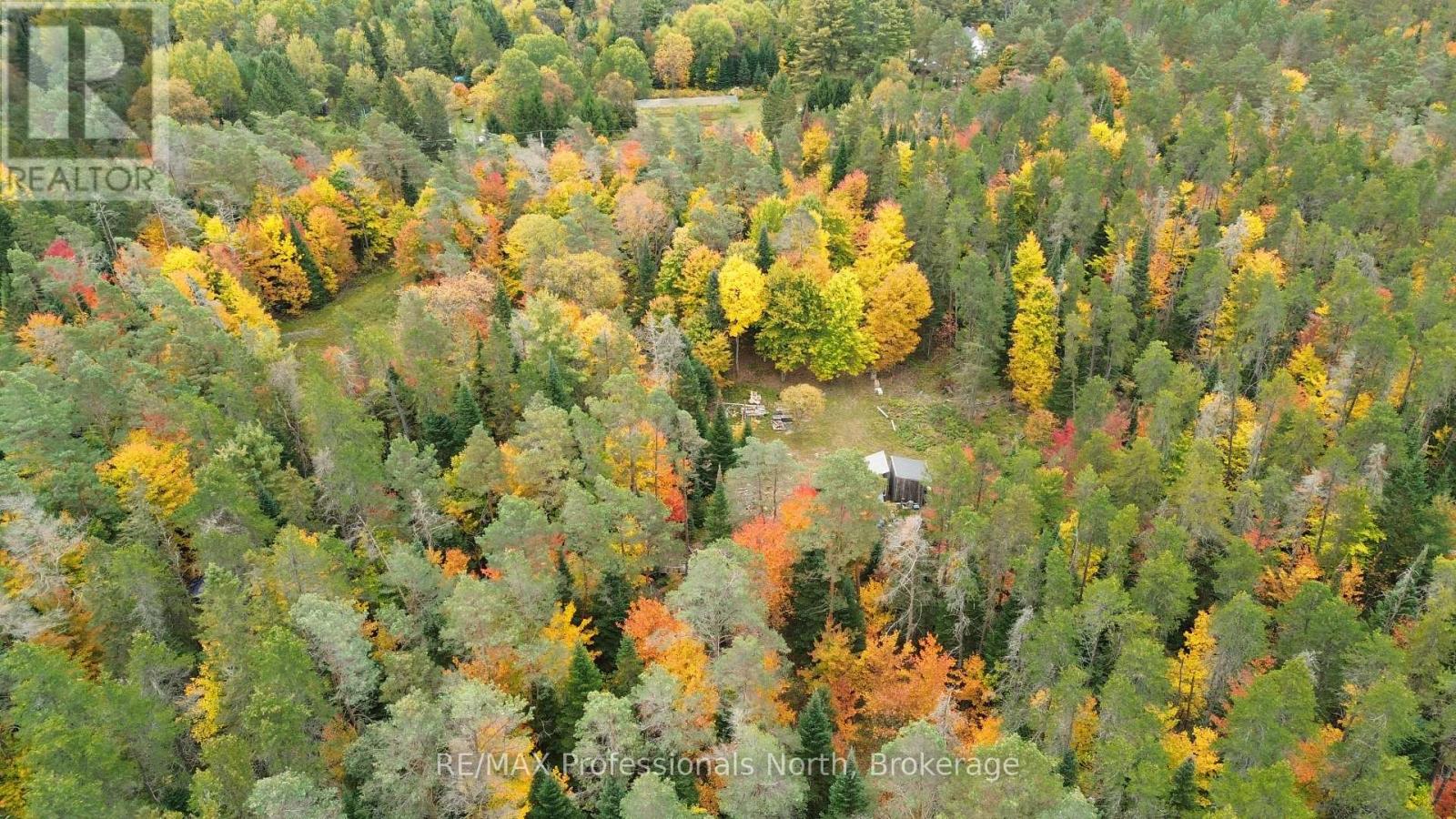 124 Cardwell Lake Road, Huntsville, Ontario  P0B 1M0 - Photo 13 - X13840448