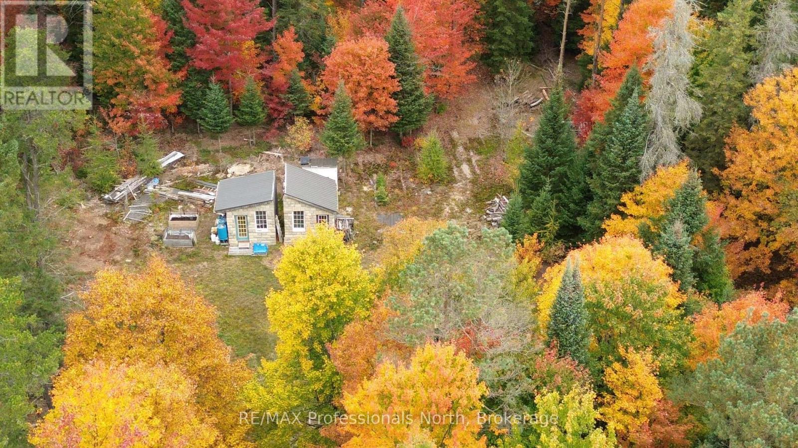 124 Cardwell Lake Road, Huntsville, Ontario  P0B 1M0 - Photo 15 - X13840448
