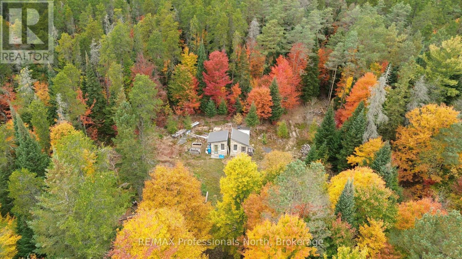 124 Cardwell Lake Road, Huntsville, Ontario  P0B 1M0 - Photo 16 - X13840448