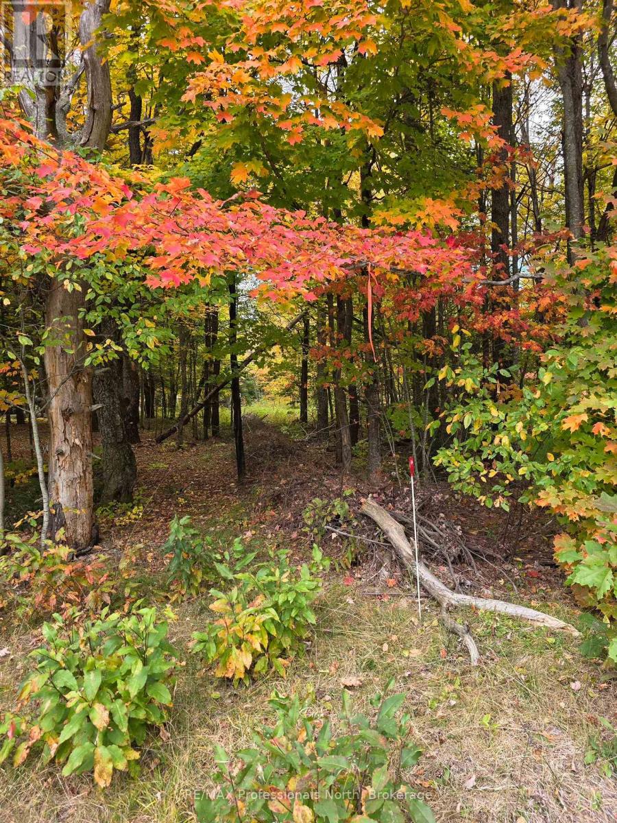 124 Cardwell Lake Road, Huntsville, Ontario  P0B 1M0 - Photo 17 - X13840448