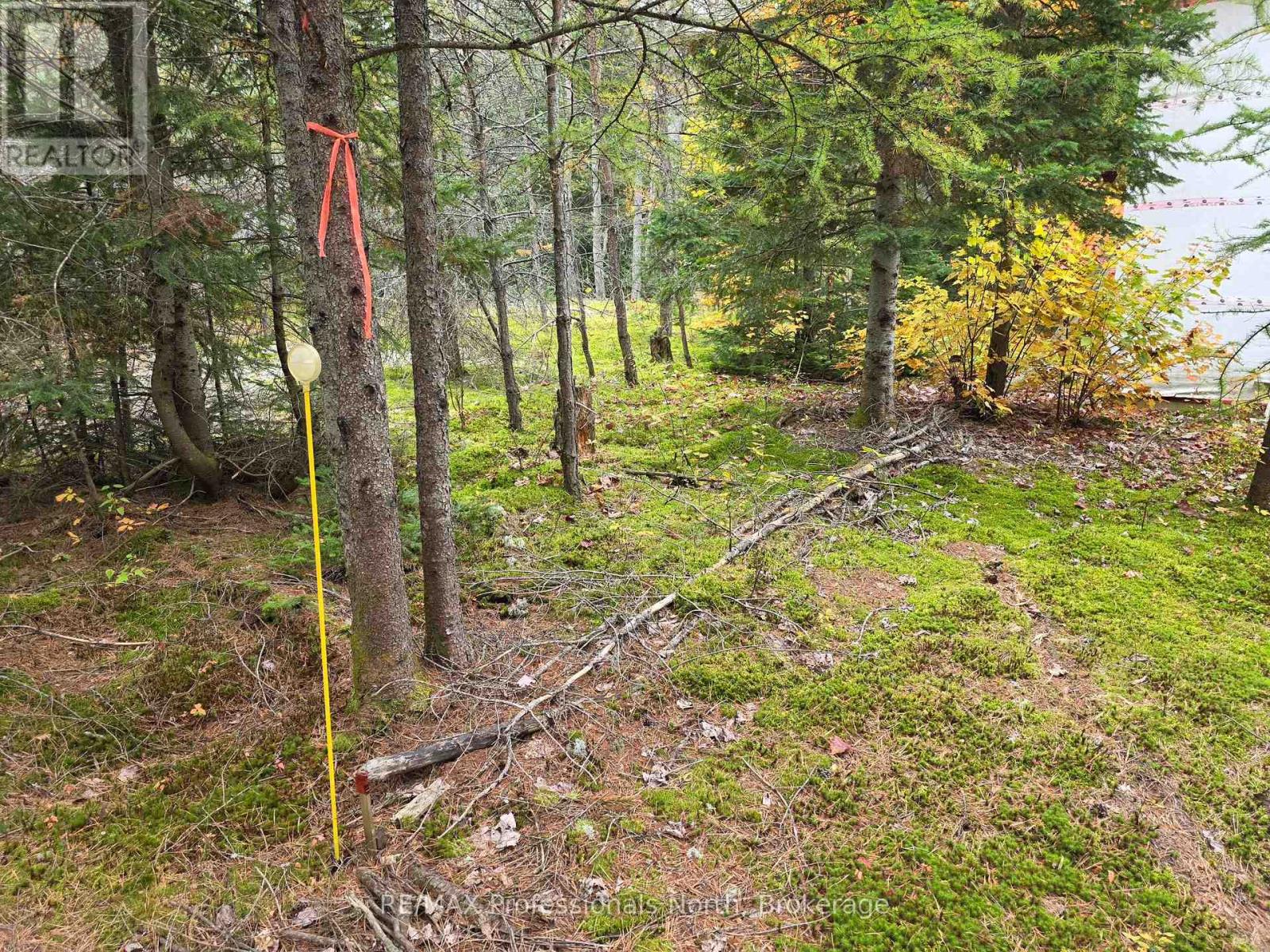 124 Cardwell Lake Road, Huntsville, Ontario  P0B 1M0 - Photo 20 - X13840448