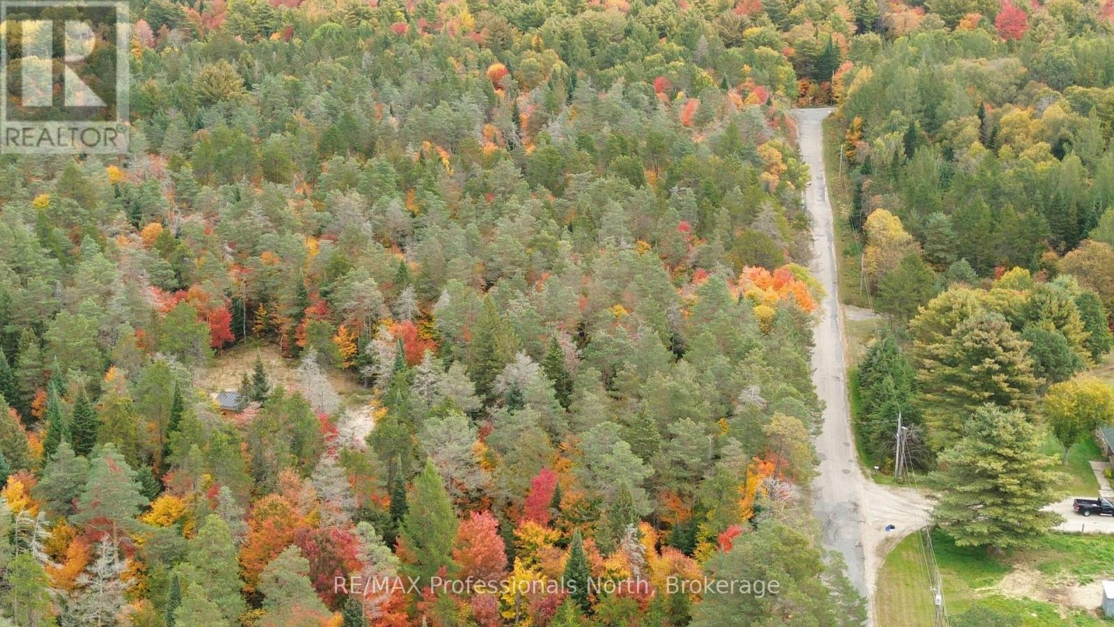 124 Cardwell Lake Road, Huntsville, Ontario  P0B 1M0 - Photo 22 - X13840448