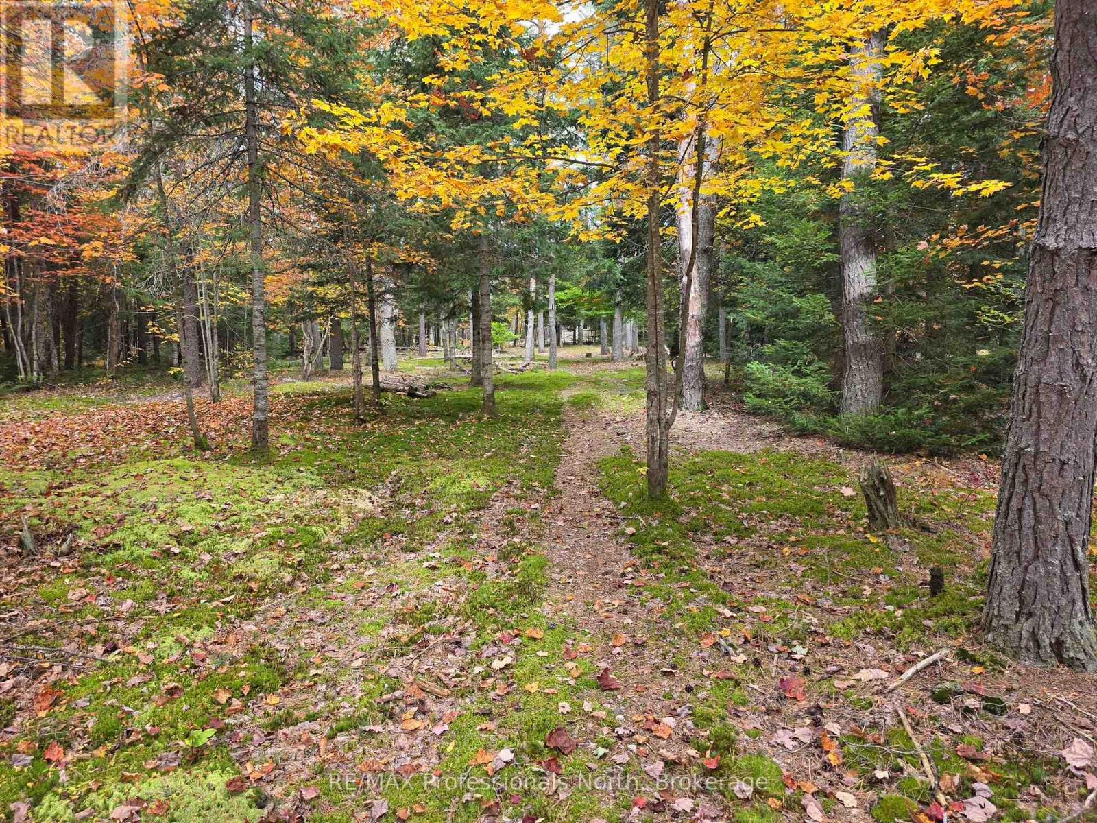 124 Cardwell Lake Road, Huntsville, Ontario  P0B 1M0 - Photo 8 - X13840448
